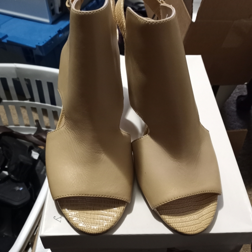 Shoed - Picture 2 of 4